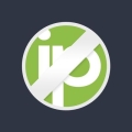 No-IP Managed DNS Logo