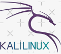 Penetration Testing kali with custom tooling Logo