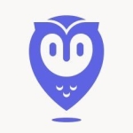 Placer.ai logo