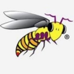Wasp Point of Sale logo