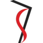 Vertical Solutions logo