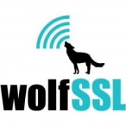 wolfSSL Embedded SSL/TLS Library Logo