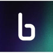 Binarly Transparency Platform Logo