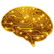 PsyberCog PATH Platform Logo
