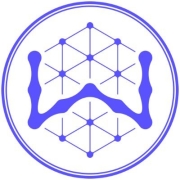 WisdomAI Logo