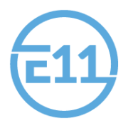 AccessE11 Logo