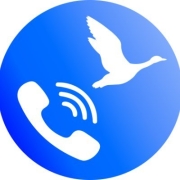 Callgoose SQIBS Logo