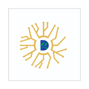 Dev Systems & IT Services Dev Syatem Managed IT Support Services for AWS & Cloud Infrastructure Logo