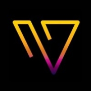 V Zone International Logo
