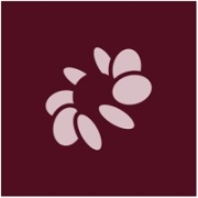 Bloom Security Logo