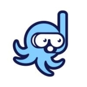 Snorkel Flow Logo