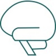 Adeptiv AI Logo