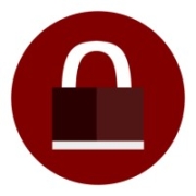 Vulseek by Securetia Logo