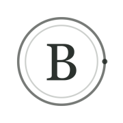 Bonis Systems MCP Server Security and Governance Assessment Logo