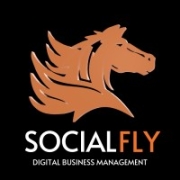 Socialfly Logo