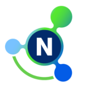 NetFoundry Platform Logo
