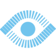 RAIDS AI RAIDS Logo