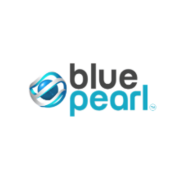 Blue Pearl BluePearl Cloud Vision Logo