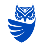 Cognisys Infrastructure Penetration Testing Logo
