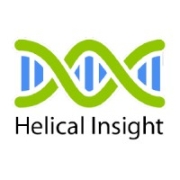 Helical Insight Logo