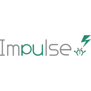 Brains Technology Impulse AI Agent Professional Services Logo