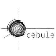 Molecular Quantum Solutions Cebule Platform Logo