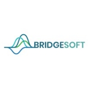 Bridgesoft Identity Access and Management Logo