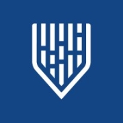Mindgard Logo