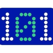 101data Data Insights Logo