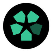 Anomaly AI Logo