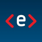 Exact Solution Logo