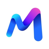 Mesh Security Platform Logo