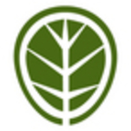 Virid marketAgility Logo