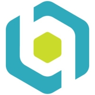 BluLogix Logo