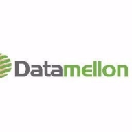 Datamellon Professional Services Logo