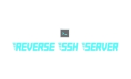 Reverse SSH Server Logo