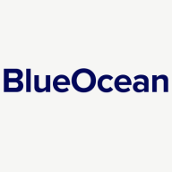 BlueOcean.ai Logo