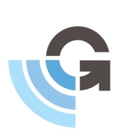 Satelon Logo