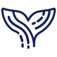 Orca AI Logo