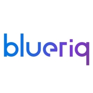 Blueriq Logo