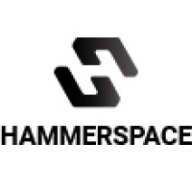 Hammerspace Logo