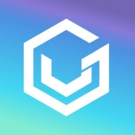 VGS Platform Logo