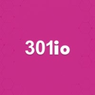 301io Logo