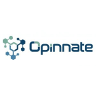 Opinnate Logo