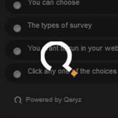 Qeryz Logo
