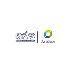 Extreme Digital Solutions Logo