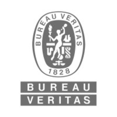 Bureau Veritas Cybersecurity Logo
