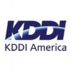 KDDI Network Services Logo