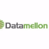 Datamellon Professional Services Logo