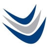 Vision Wireless Mobile TEM Logo